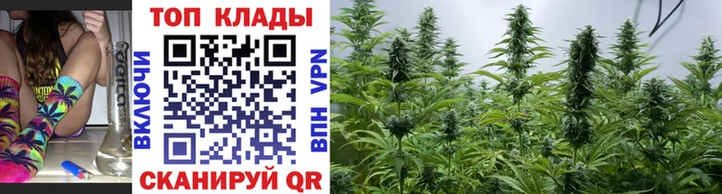 Где продают наркотики Нолинск Амфетамин  Alpha PVP  Мефедрон  NBOMe  Каннабис 