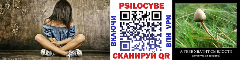 цена наркотик  Нолинск  Псилоцибиновые грибы GOLDEN TEACHER 